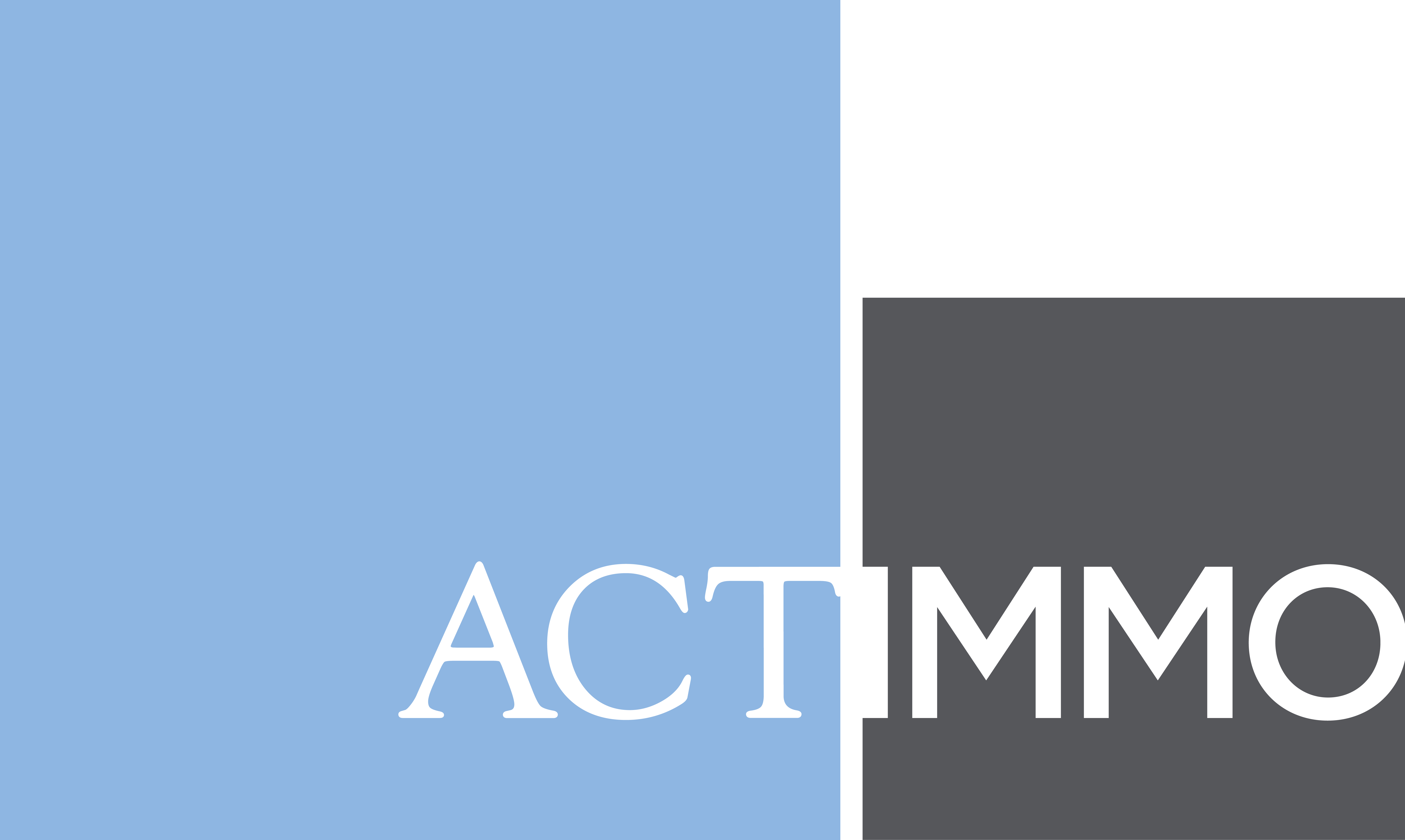 Actimmo Sàrl